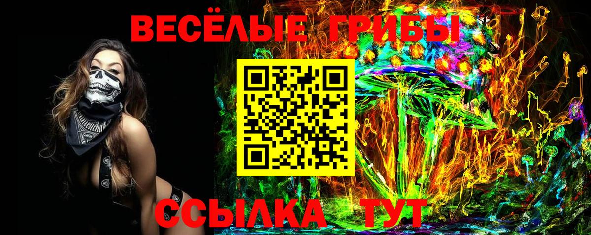 Галлюциногенные грибы Cubensis Балаково