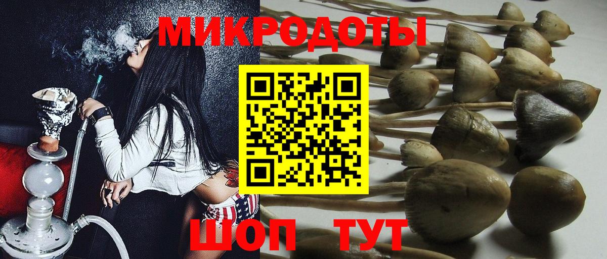 Псилоцибиновые грибы GOLDEN TEACHER  Галлюциногенные грибы GOLDEN TEACHER  Балаково 